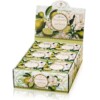 (ES-41) Bergamot og Gardenia, display