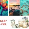 MDW – sealife