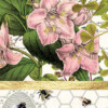 341 Honey and Cloverr