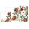 NAPKINS_362