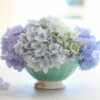 Skum-håndsæbe WILD HYDRANGEA - Image 2