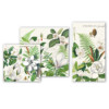 Forklæde MAGNOLIA PETALS - Image 4